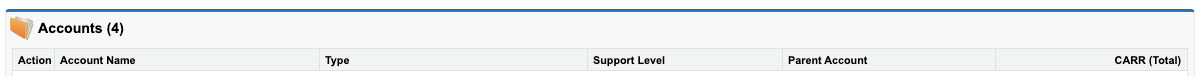 Salesforce 検索結果における Account Name と Support Level